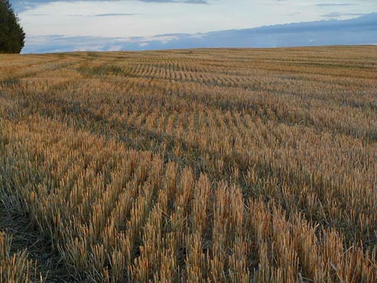 Image001