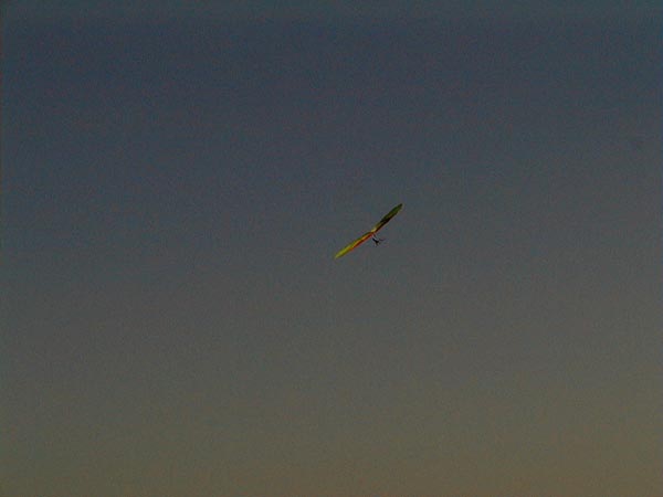 image003