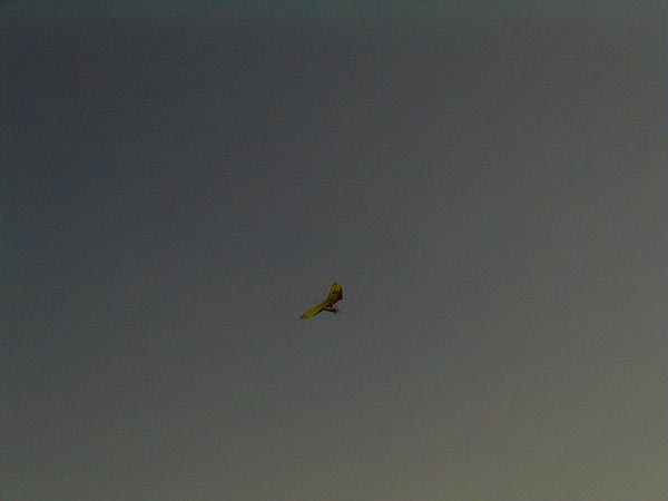image008