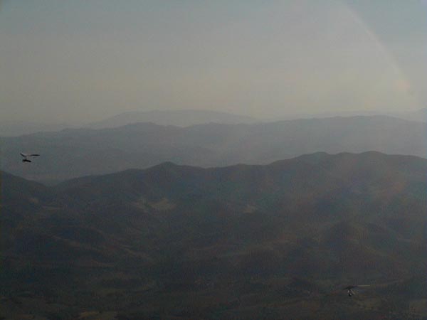 image013