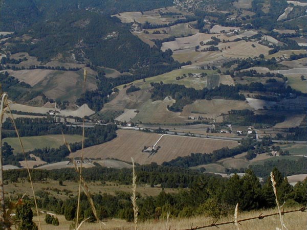 image004