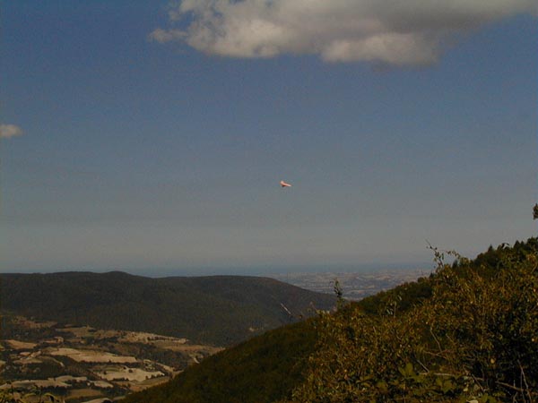 image010