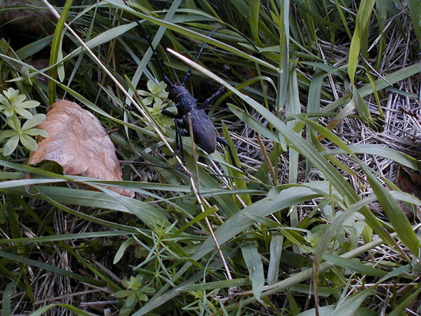 Image001