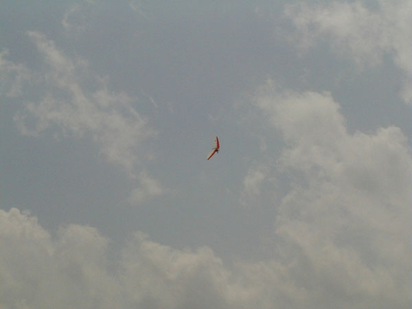 Image008