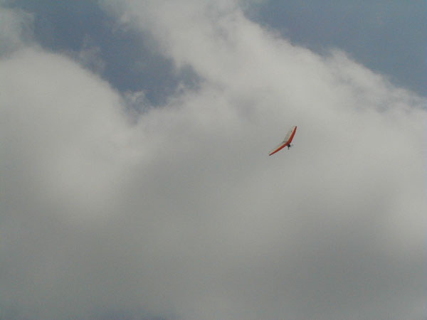 Image009